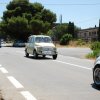 Montevago 2010 (481)